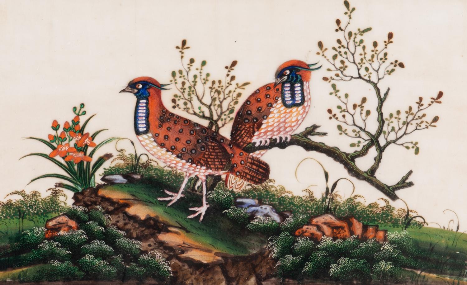 A Set of Twelve Chinese Export Watercolor and Pith Paintings of Exotic Birds