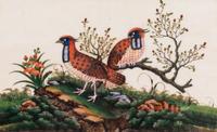 A Set of Twelve Chinese Export Watercolor and Pith Paintings of Exotic Birds