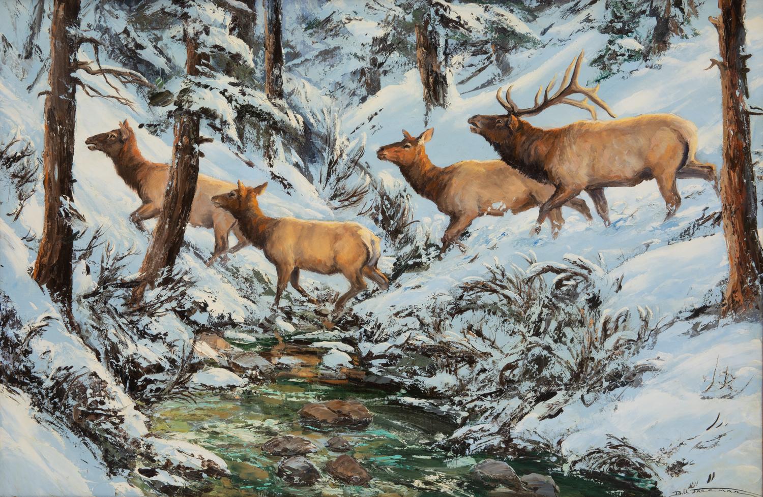 Elk In Snow