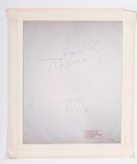 Nobuyoshi Araki (born 1940) Personal Sentimentalism in Photography, 2000