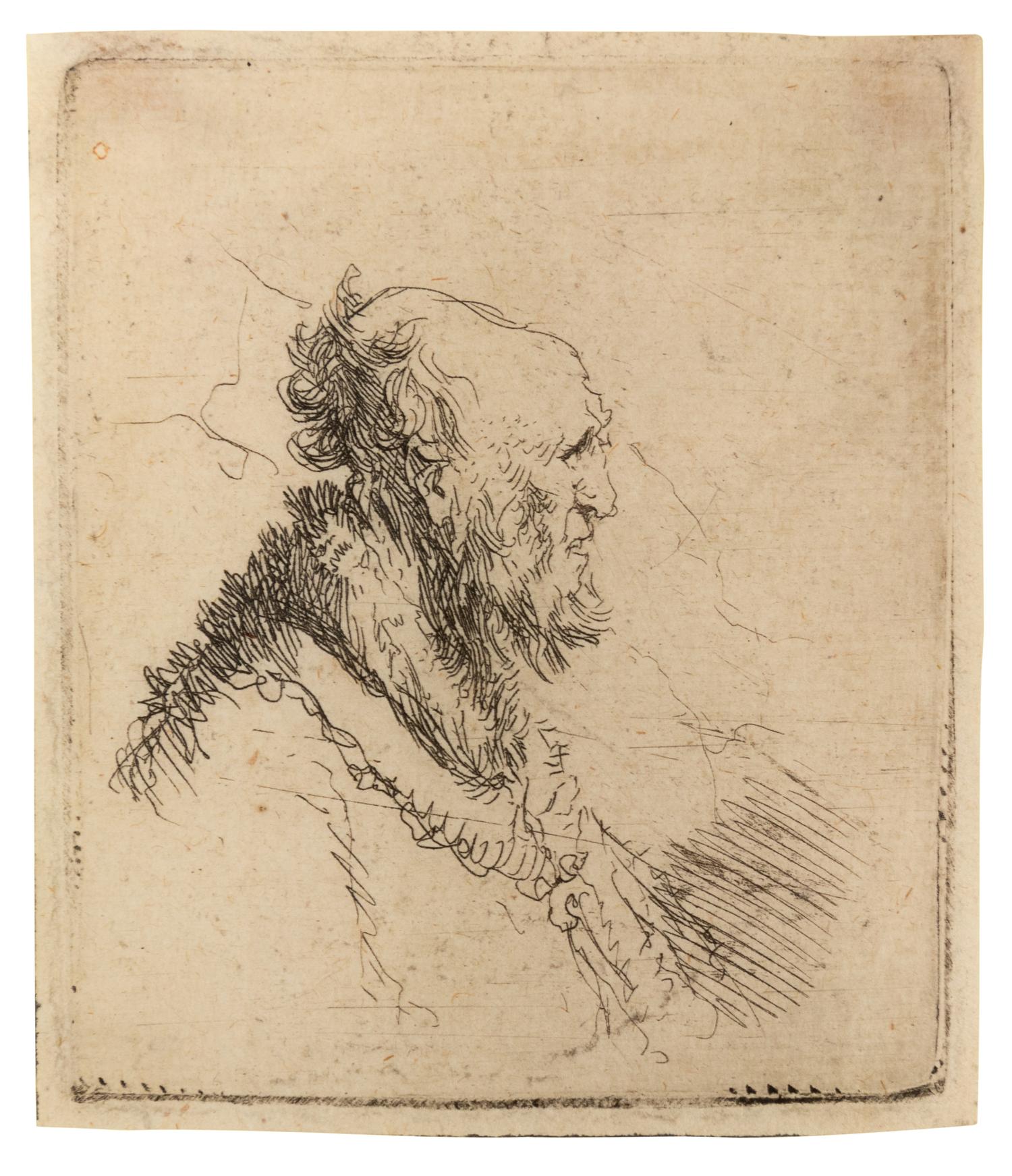 Bald Old Man with a Short Beard in Profile, Right, c. 1635