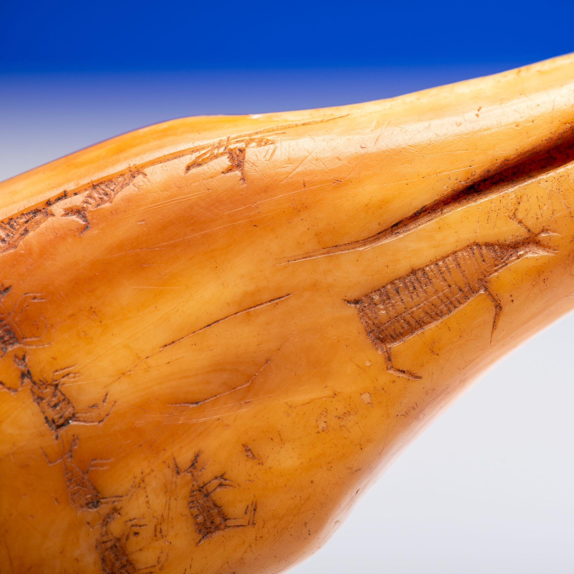Iñupiat Fossilized Walrus Ivory Adze Handle