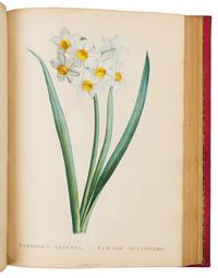 [BOTANICAL]. ROUSSEAU, Jean Jacques (1712-1778). La Botanique. Paris: Baudouin Freres, 1821-1822.