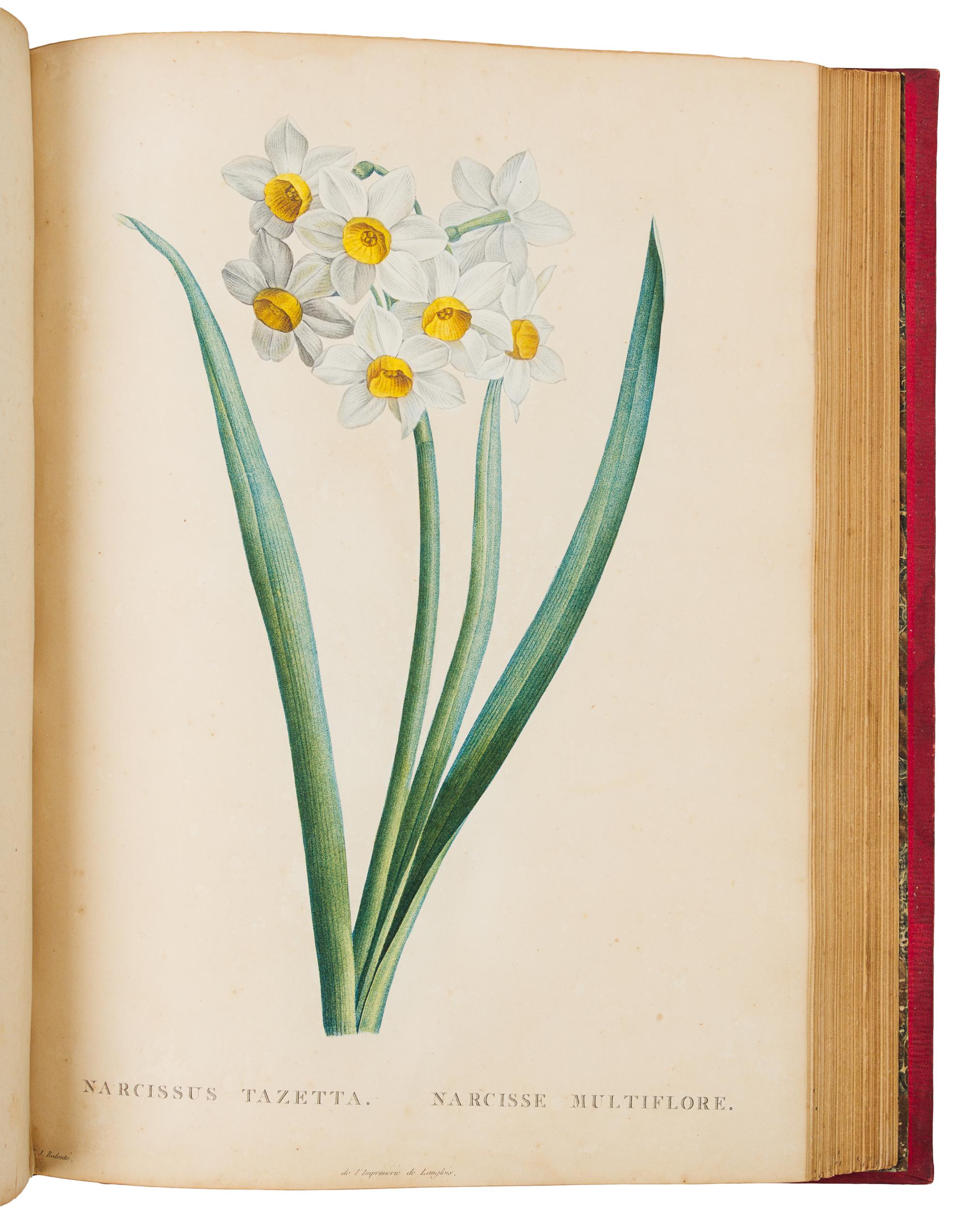 [BOTANICAL]. ROUSSEAU, Jean Jacques (1712-1778). La Botanique. Paris: Baudouin Freres, 1821-1822.
