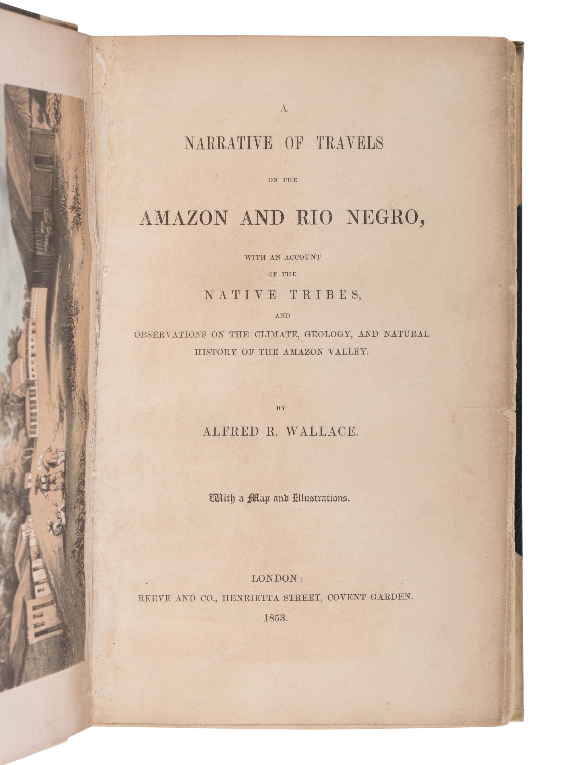 [NATURAL HISTORY]. WALLACE, Alfred Russell (1823-1913). A Narrative of Travels on the Amazon and Rio Negro, with an account of the Native Tribes, and Observations on the Climate, Geology, and Natural History of the Amazon Valley . London: Reeve & Co., 1853.