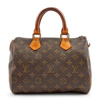 Louis Vuitton Vintage Speedy Bag,