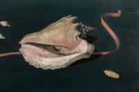 Shell and Drapery