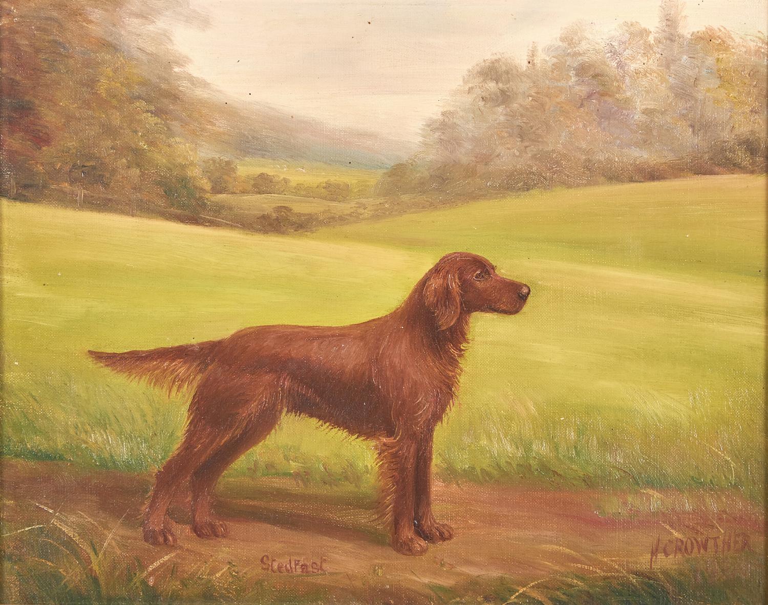 Stedfast, a Red Setter in a Landscape
