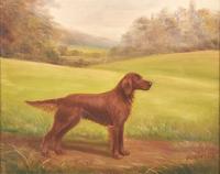 Stedfast, a Red Setter in a Landscape