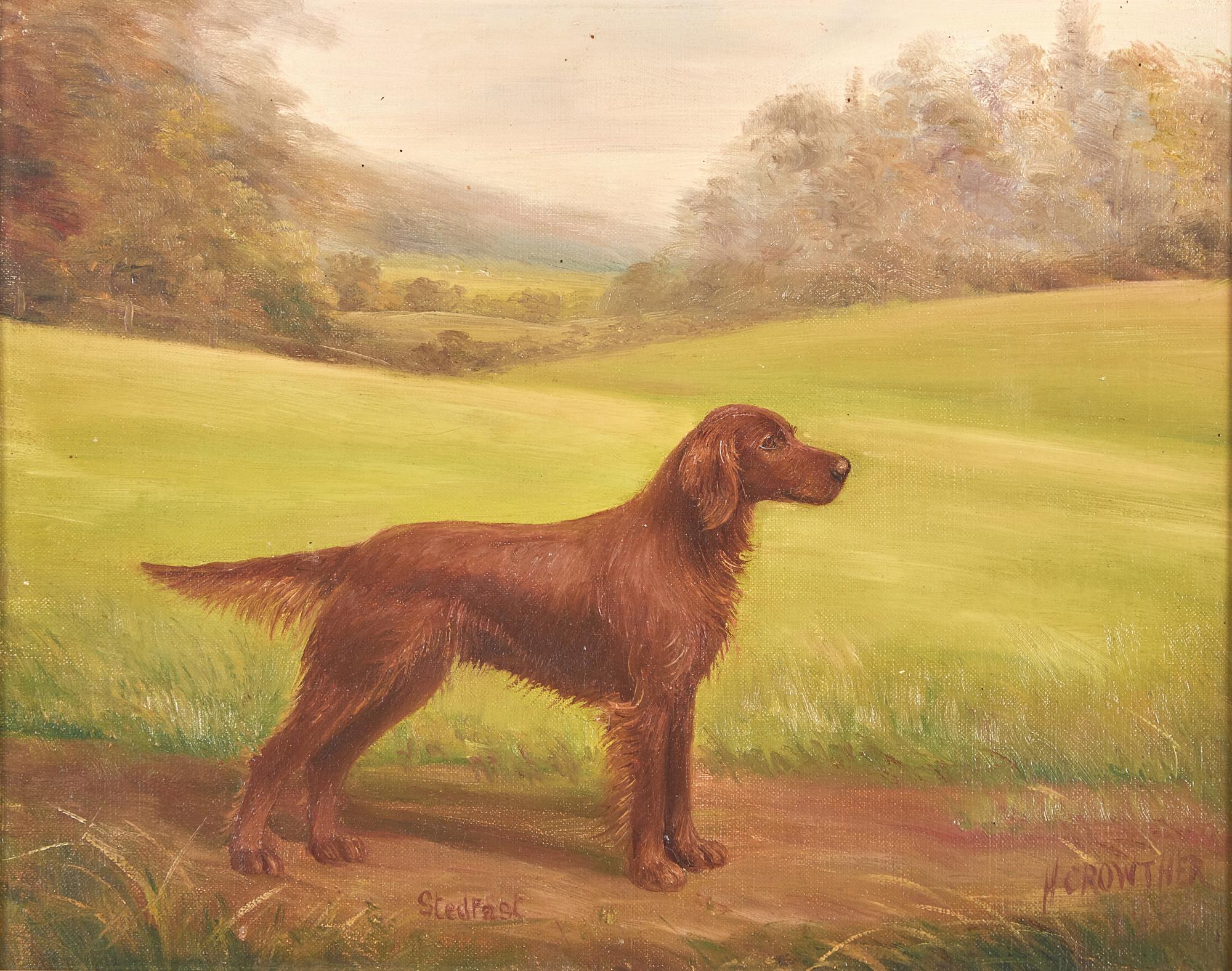 Stedfast, a Red Setter in a Landscape
