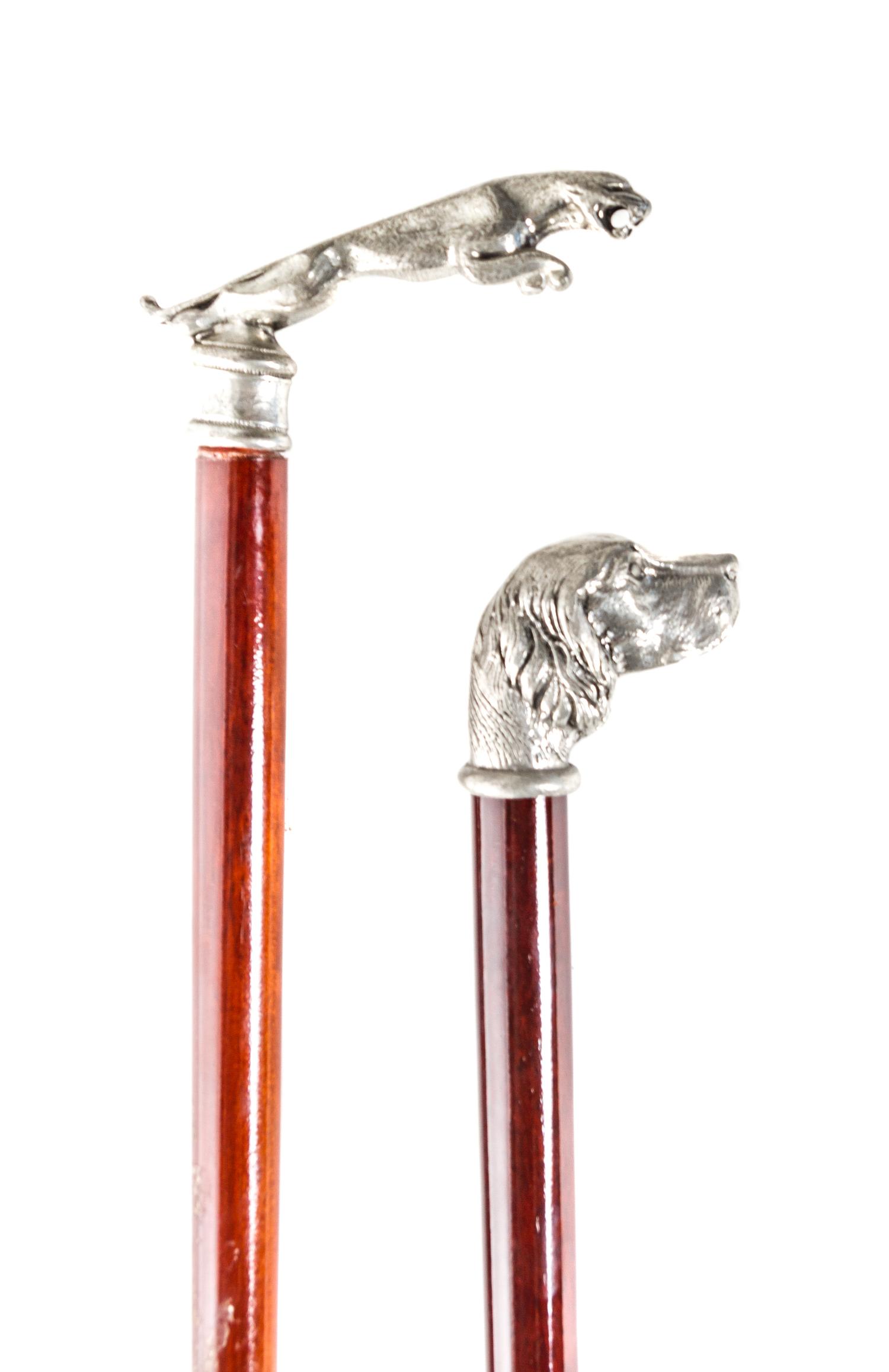Two Silvered Metal Cane Heads, Length of handle 5 x length of longer 34 inches.