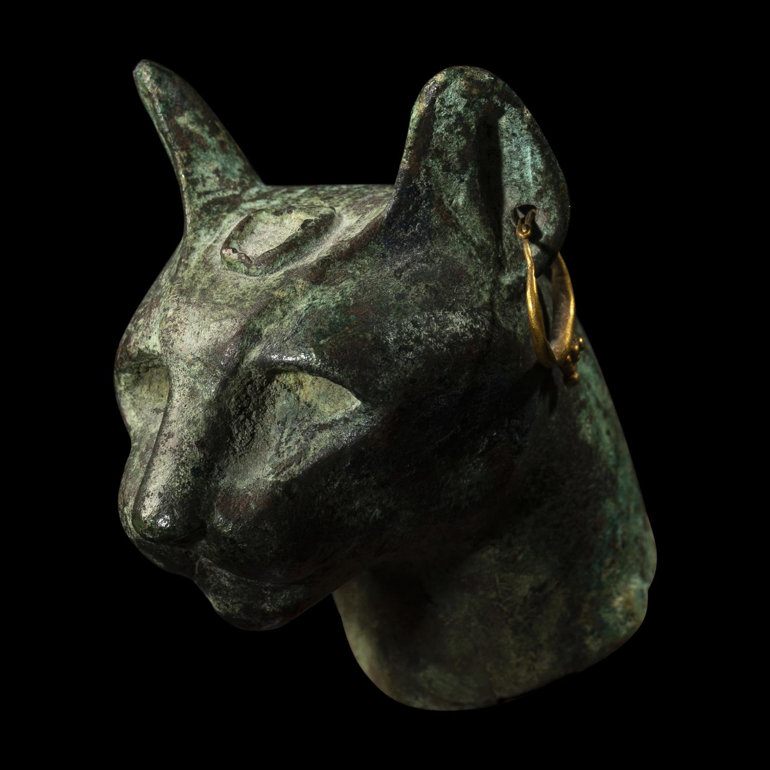 An Egyptian Bronze Head of a Cat