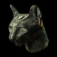 An Egyptian Bronze Head of a Cat