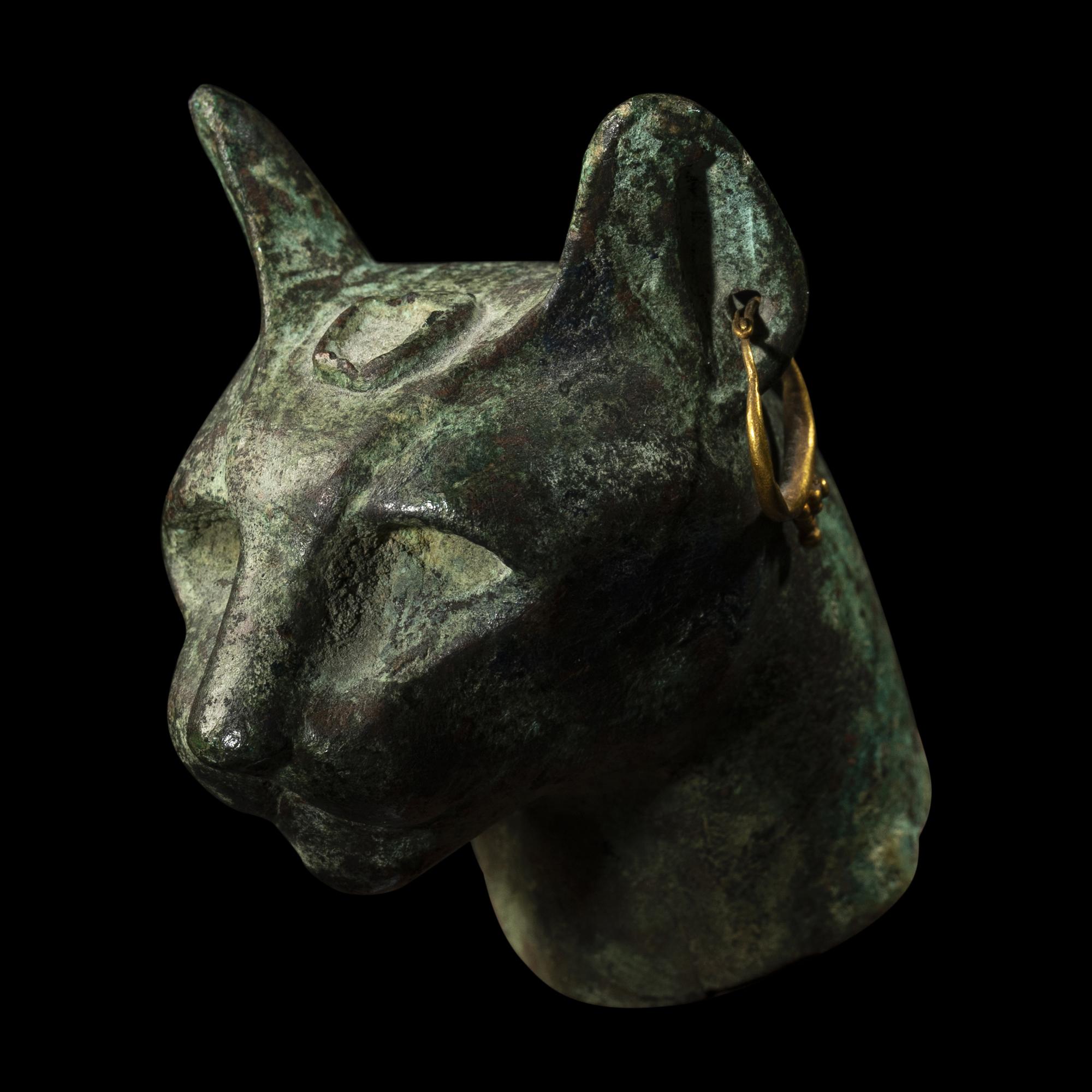 An Egyptian Bronze Head of a Cat
