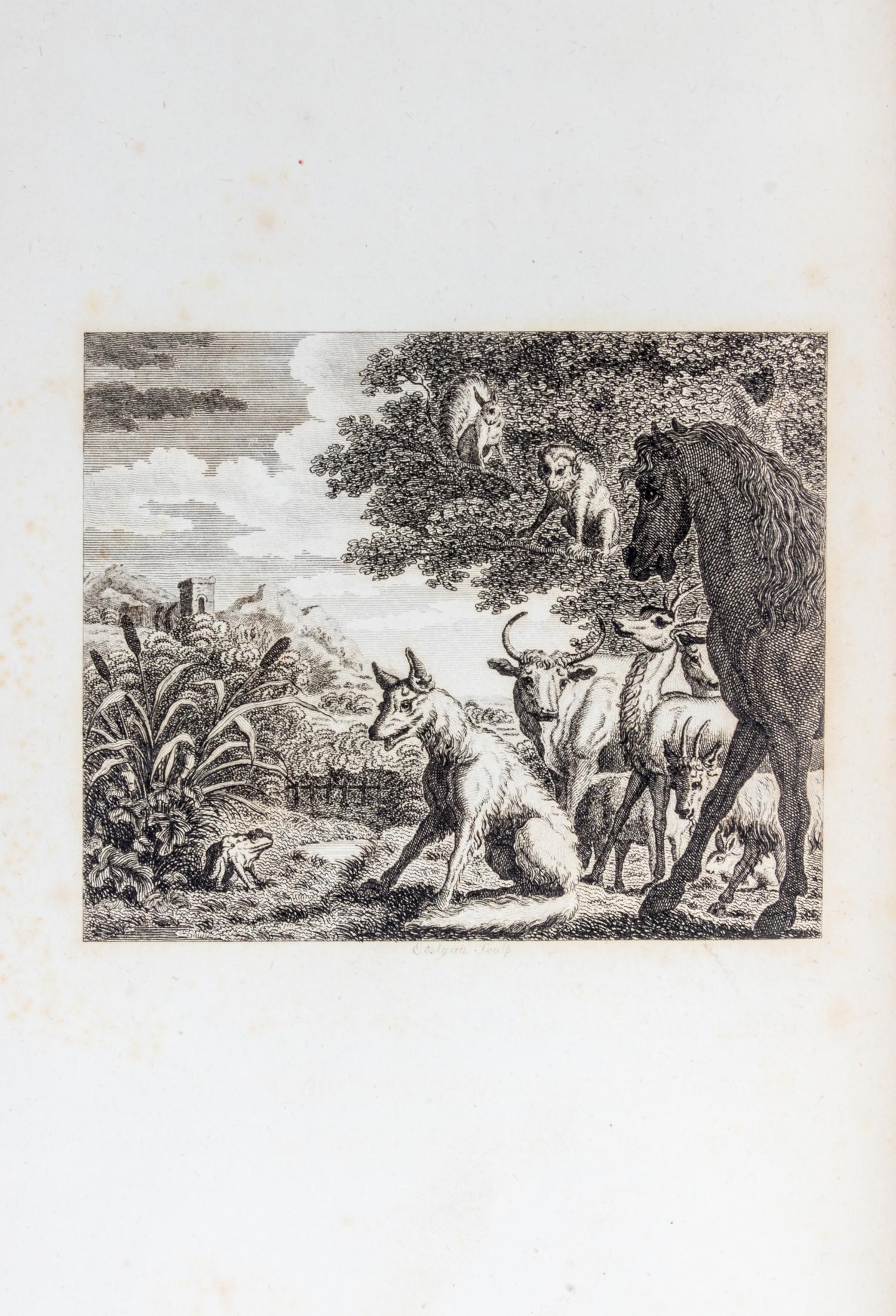 AESOP. The Fables. London, [1793]. Stockdale, 1793. 2 vols.