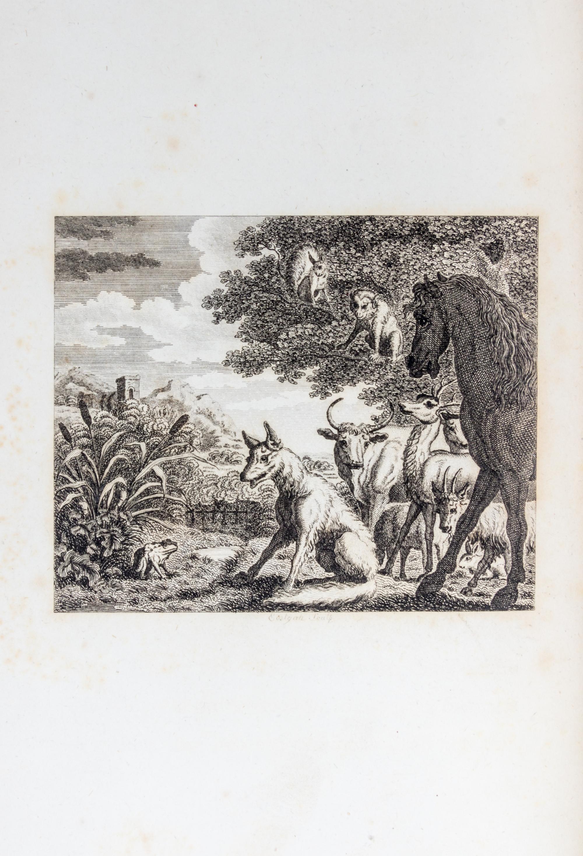 AESOP. The Fables. London, [1793]. Stockdale, 1793. 2 vols.