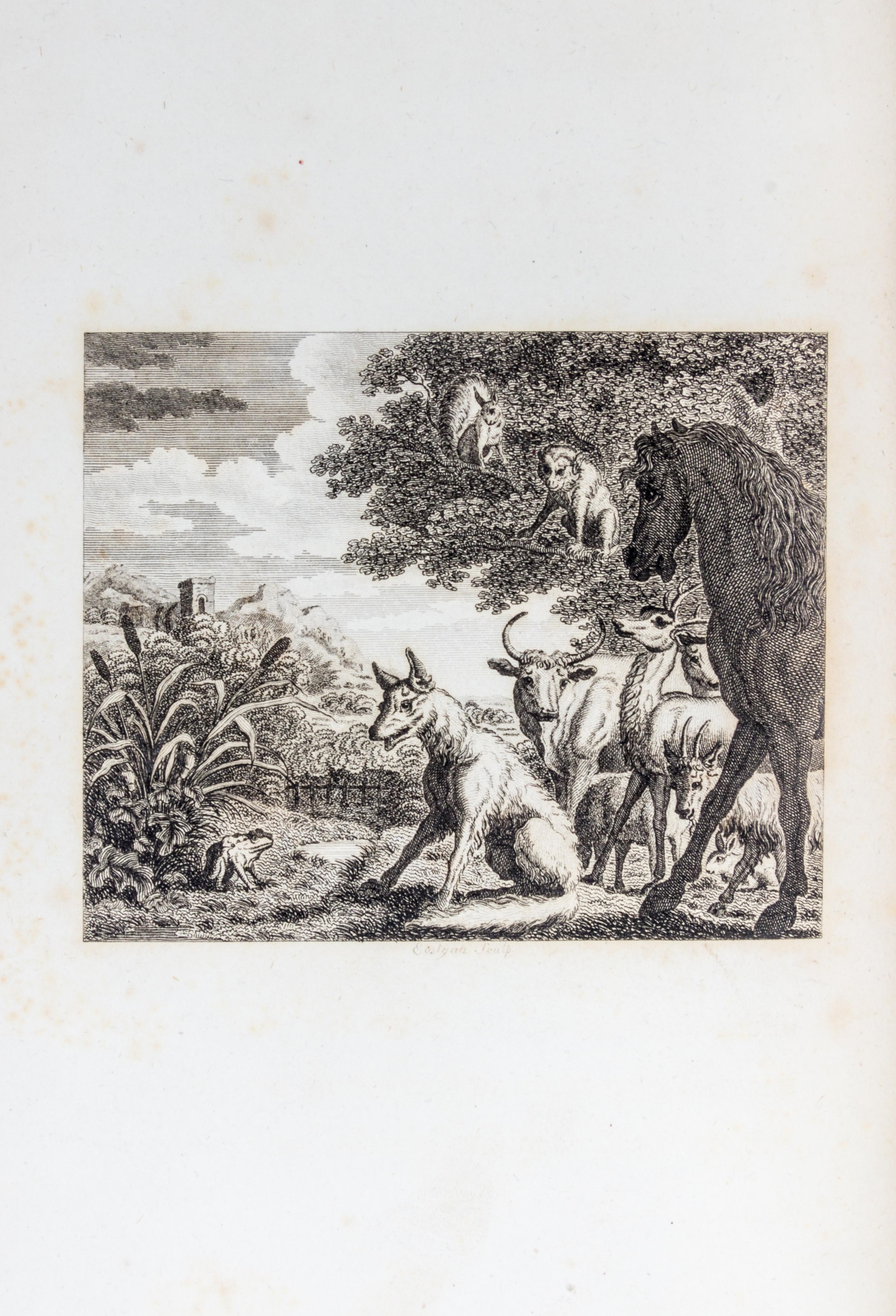 AESOP. The Fables. London, [1793]. Stockdale, 1793. 2 vols.