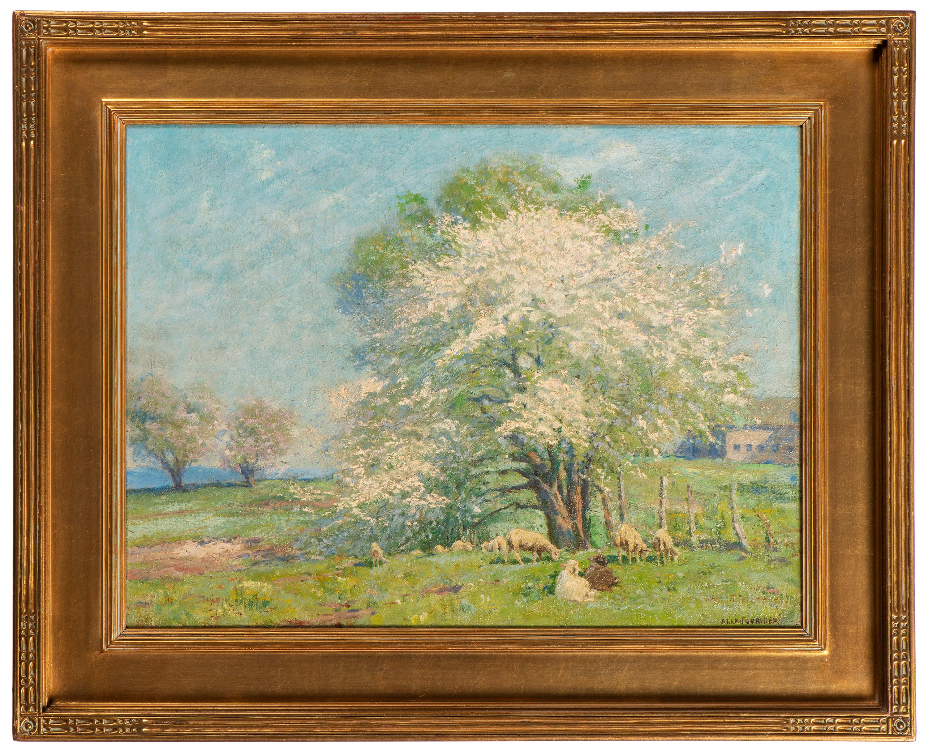 Spring Lambs , c. 1915