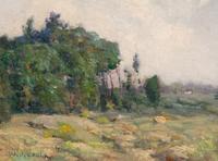 Spring Meadows