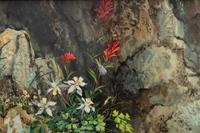 Hidden Flowers