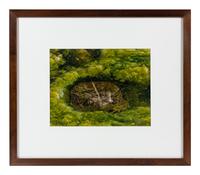 Prairie Vision: Images from a Sea of Grass (2002) Twenty Color Photographs