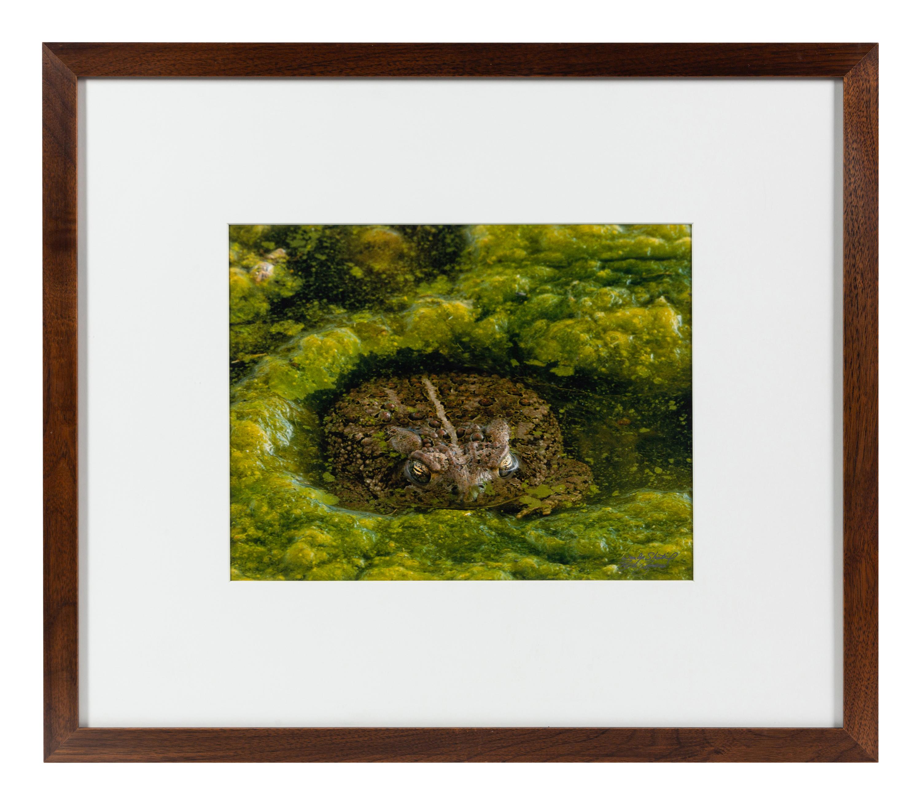 Prairie Vision: Images from a Sea of Grass (2002) Twenty Color Photographs
