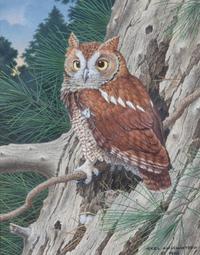 Axel Amuchastegui, (Argentinean, 1921-2002), Screech Owl, 1984