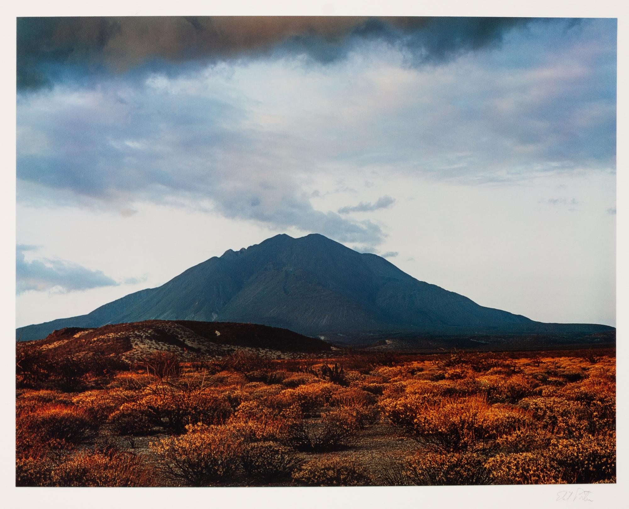 In Wildness (7 of 10 photographs)