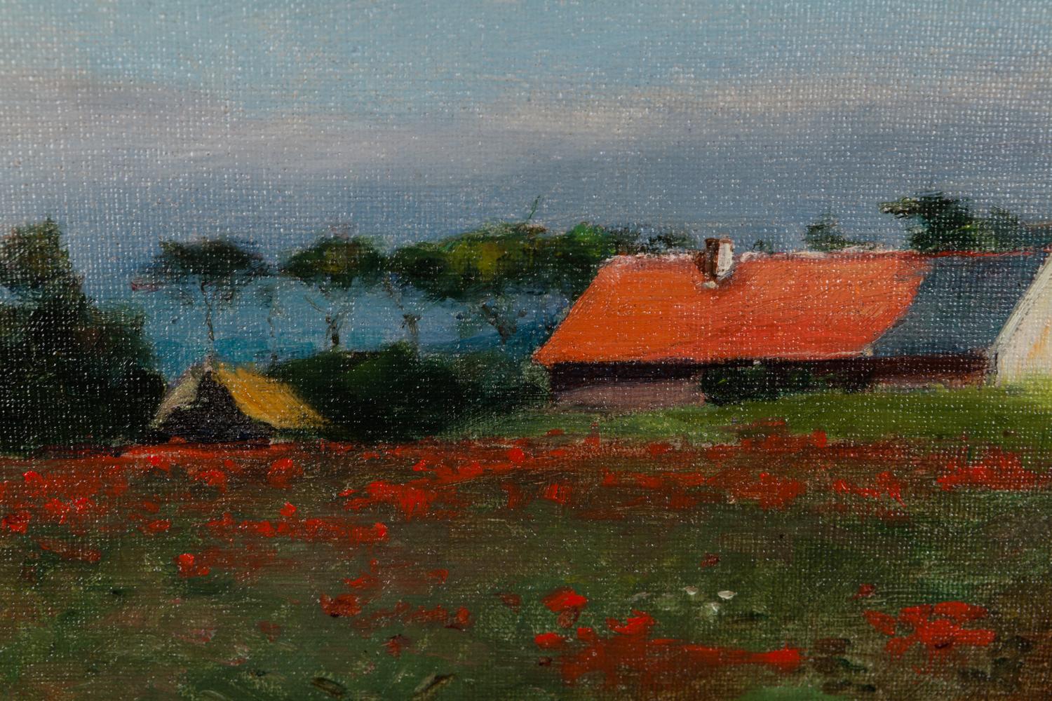 Poppy Field, Normandy