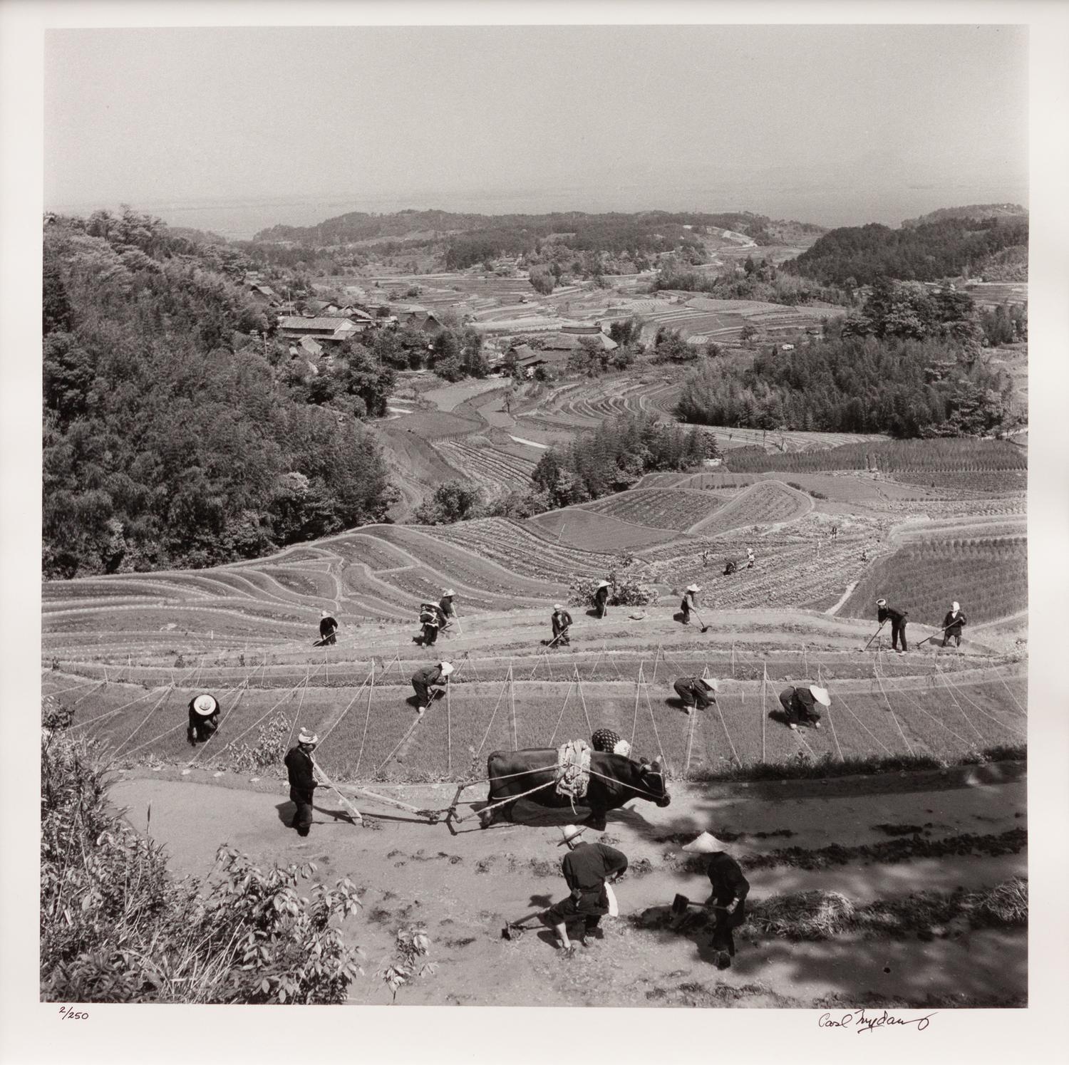A group of four photographs ( Ministers Meeting, Rome, 1940; Preparing the Land to Plant Rice , 1949; Unloading Rice at Kobe , 1949; Bricks for Building, Greenbelt, MD, c. 1939)