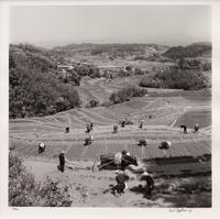 A group of four photographs ( Ministers Meeting, Rome, 1940; Preparing the Land to Plant Rice , 1949; Unloading Rice at Kobe , 1949; Bricks for Building, Greenbelt, MD, c. 1939)