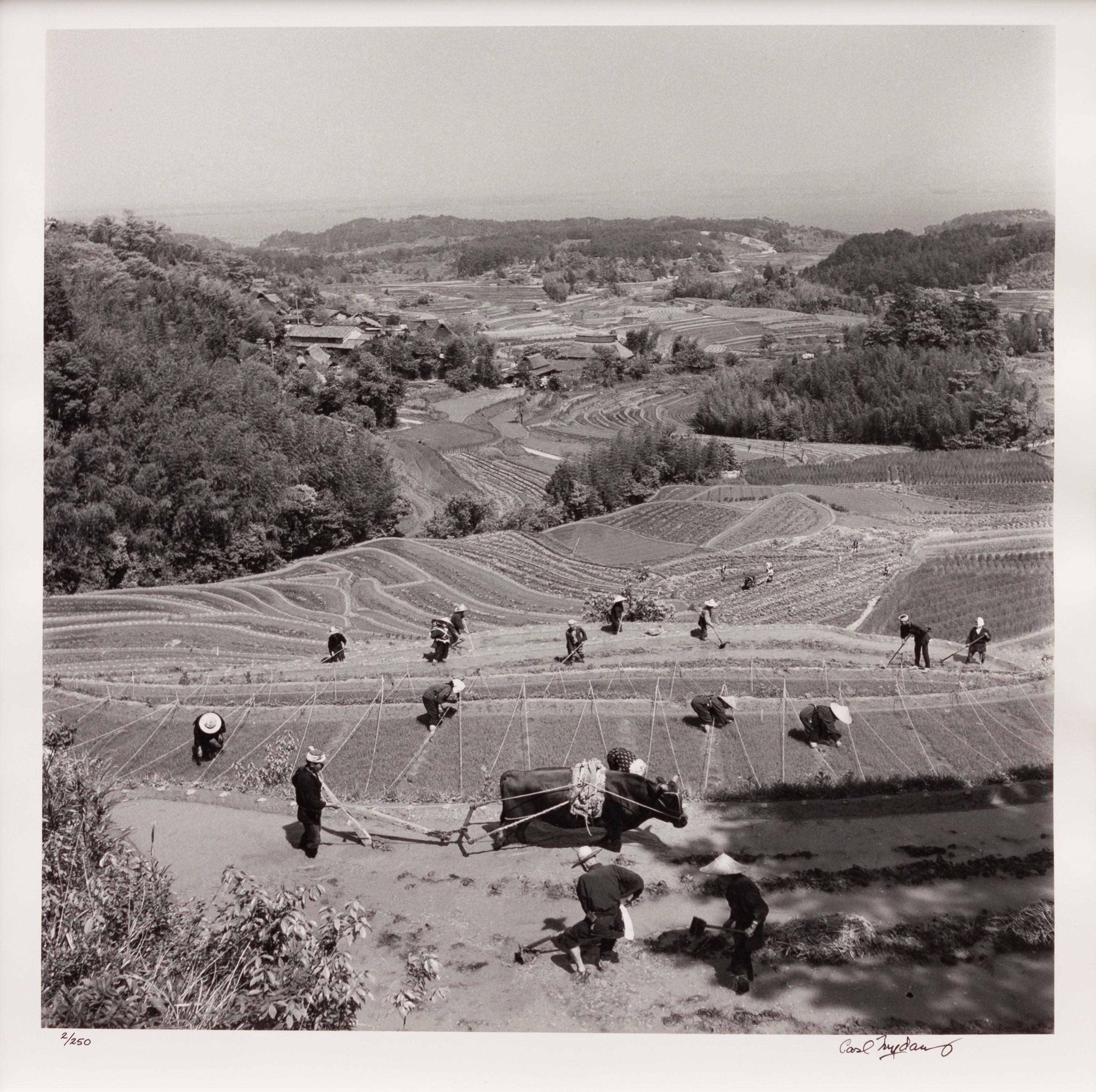 A group of four photographs ( Ministers Meeting, Rome, 1940; Preparing the Land to Plant Rice , 1949; Unloading Rice at Kobe , 1949; Bricks for Building, Greenbelt, MD, c. 1939)