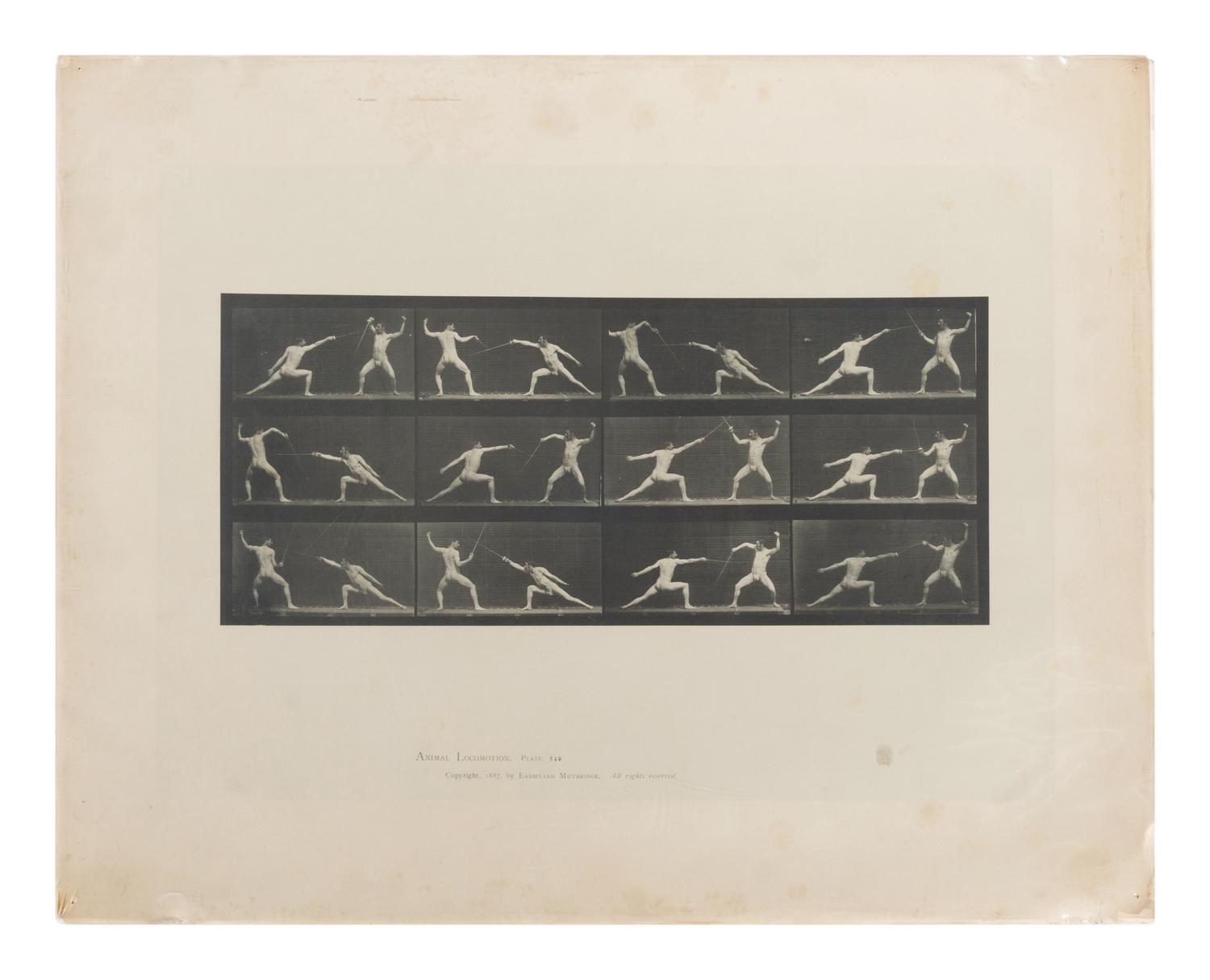 15 Plates from Animal Locomotion , 1887