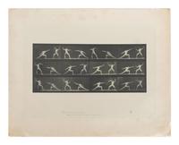15 Plates from Animal Locomotion , 1887