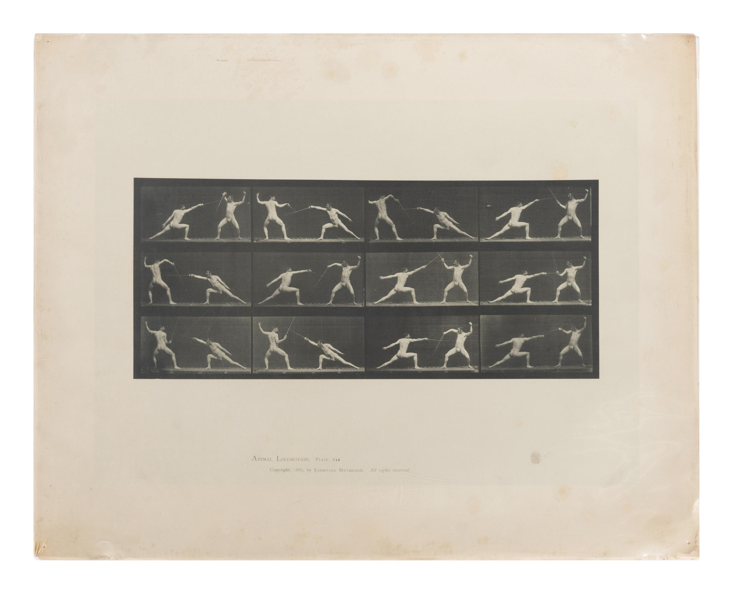 15 Plates from Animal Locomotion , 1887