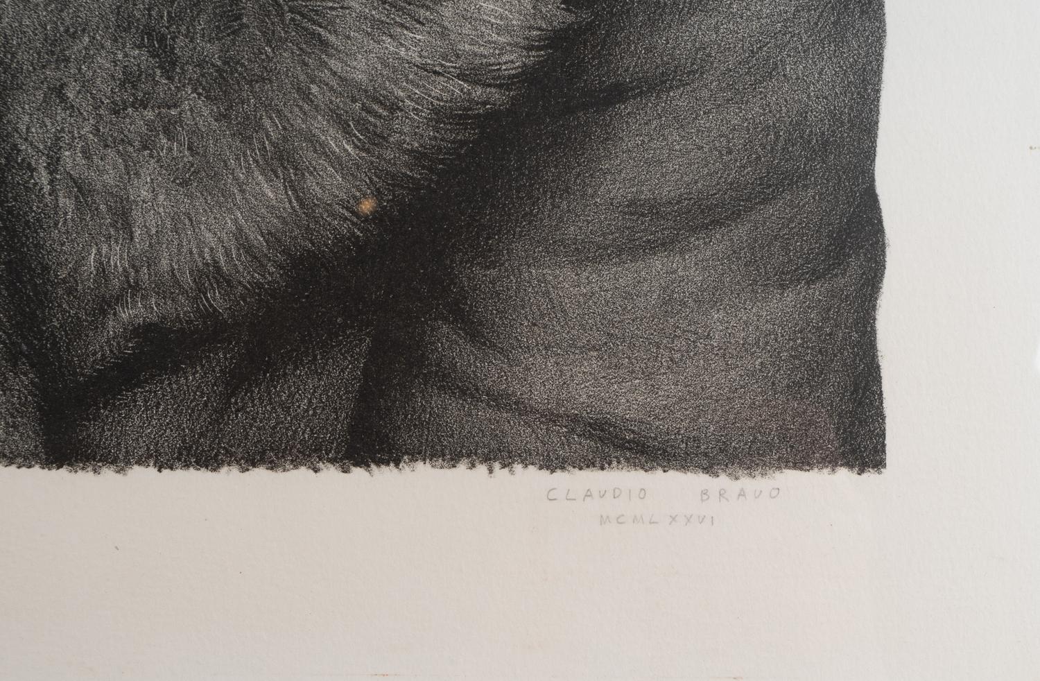 Fur Coat, Front and Fur Coat, Back