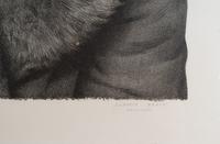 Fur Coat, Front and Fur Coat, Back