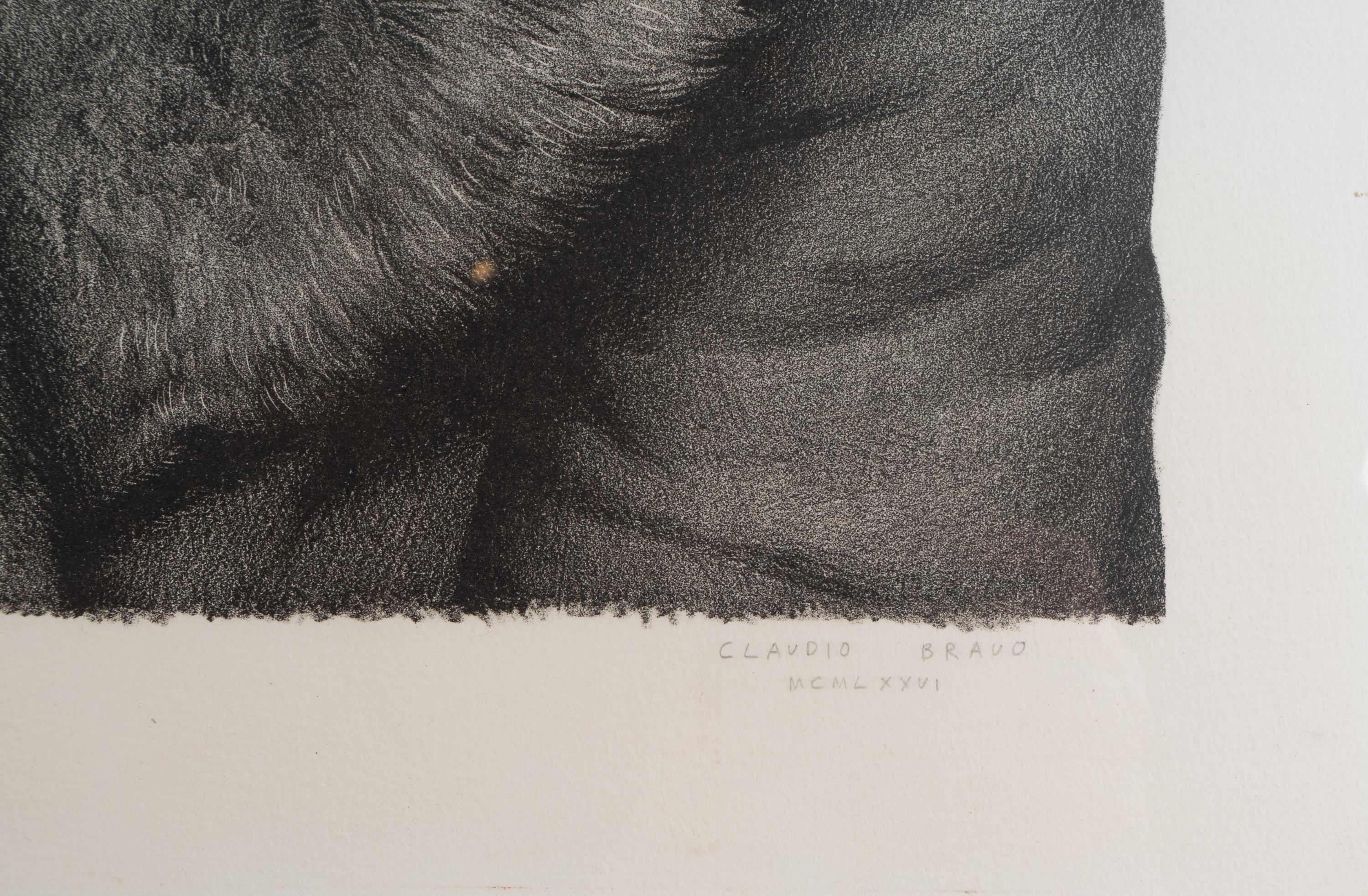 Fur Coat, Front and Fur Coat, Back