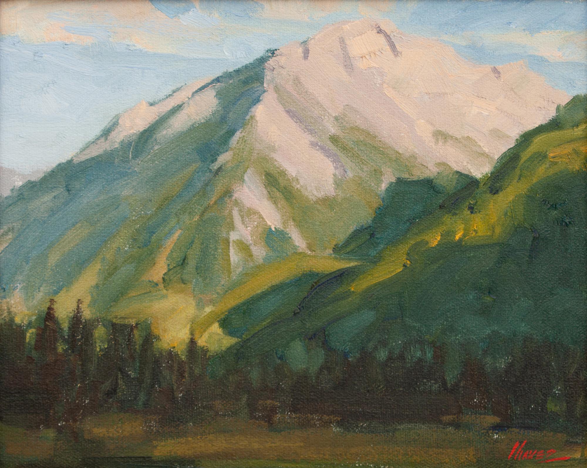 Field Study
