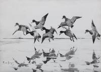 Frank Weston Benson, (American, 1862-1951), Flight of the Bluebills, 1936