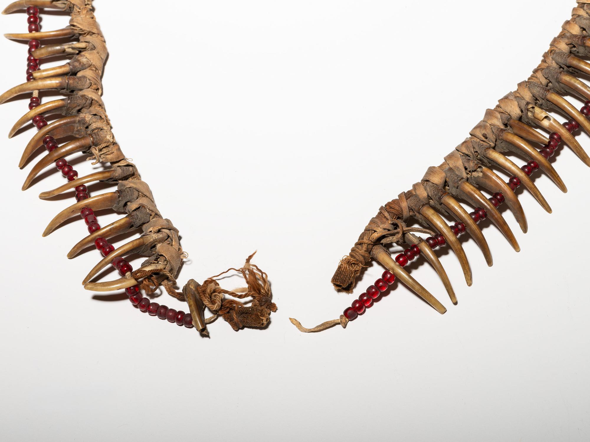 Prairie Badger Claw Necklace