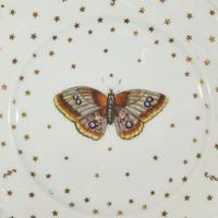 A Set of Nine Paris Porcelain Butterfly Plates