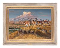 Shoshoni Hunting Grounds