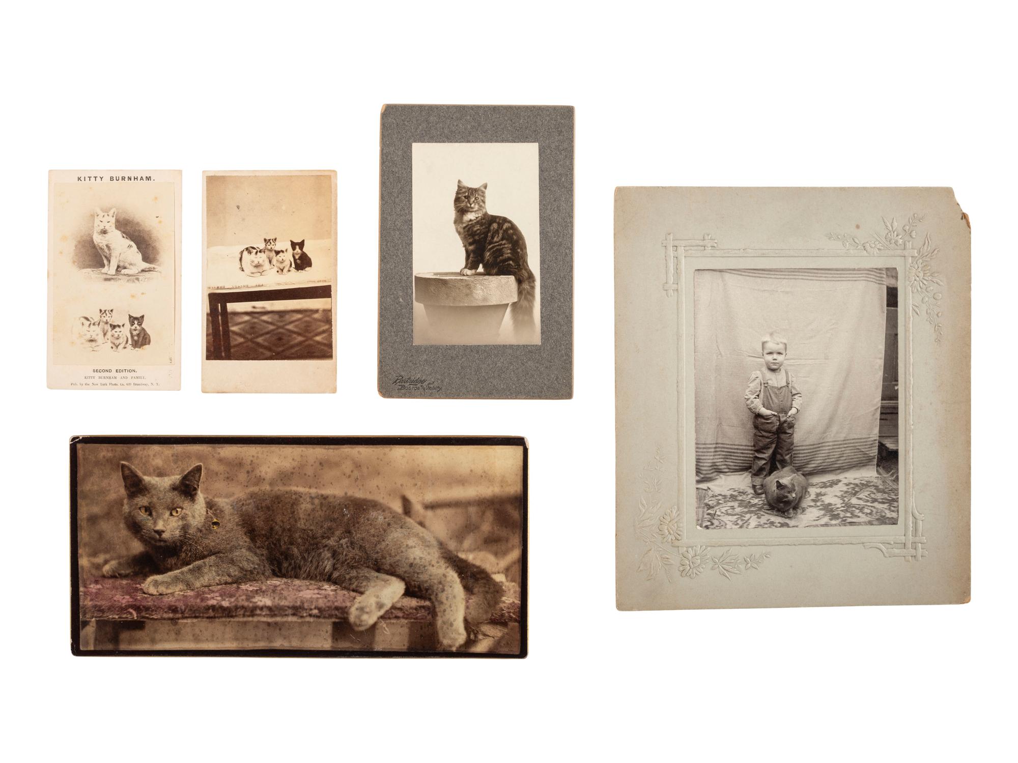 [EARLY PHOTOGRAPHY]. 9 mounted photographs of cats, incl. examples by SOULE, BURNHAM, and PARTRIDGE.
