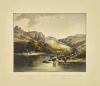[Native-Americana] Bodmer, Karl. Bisonheerden und Elkhirsche...
