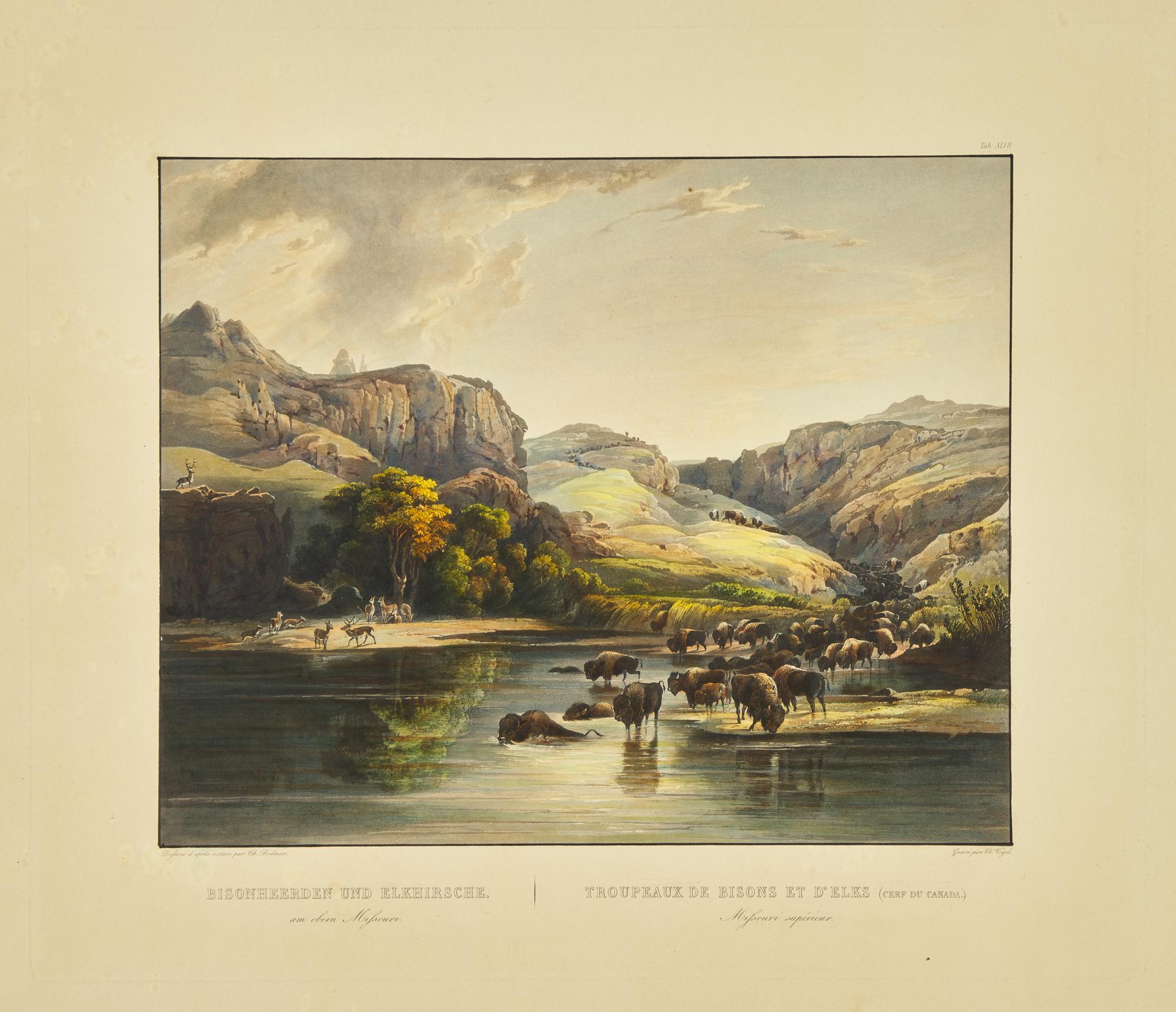 [Native-Americana] Bodmer, Karl. Bisonheerden und Elkhirsche...