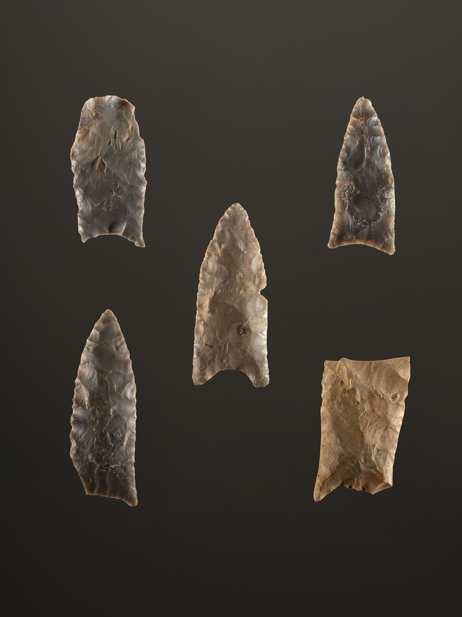 A Group of Paleo Points