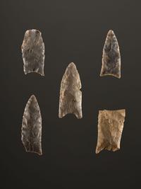 A Group of Paleo Points