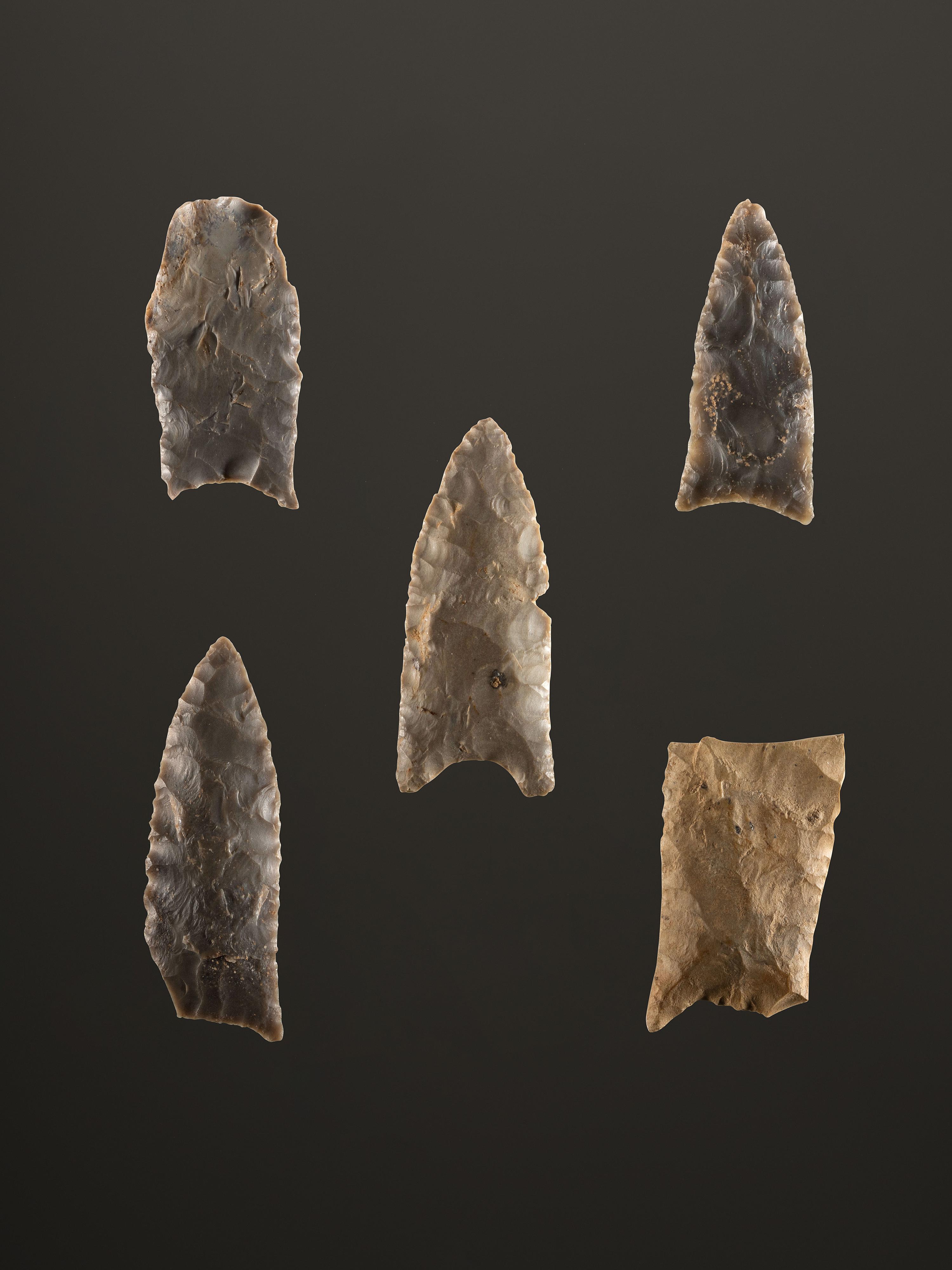 A Group of Paleo Points