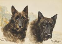 Scottish Terriers, 1922